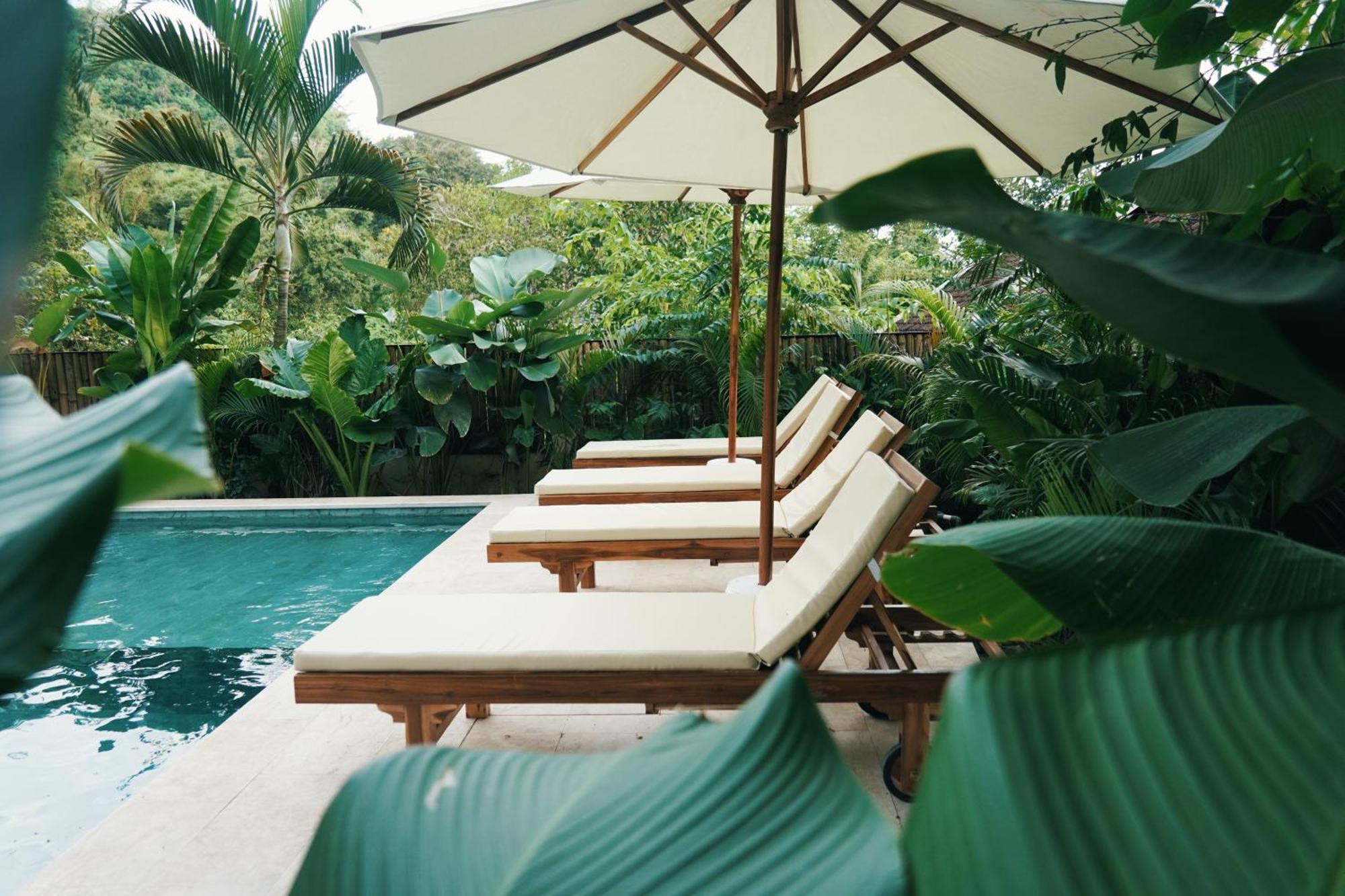 Jungle Bungalows Kuta  Dış mekan fotoğraf
